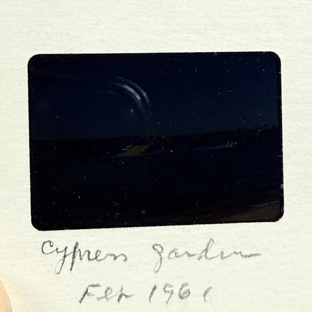 Vintage Florida Cypress Gardens 35mm Slides 1961 Water Skiing 9pc Set Multi‎